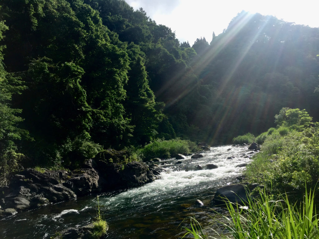 A more scenic section of the Hida River