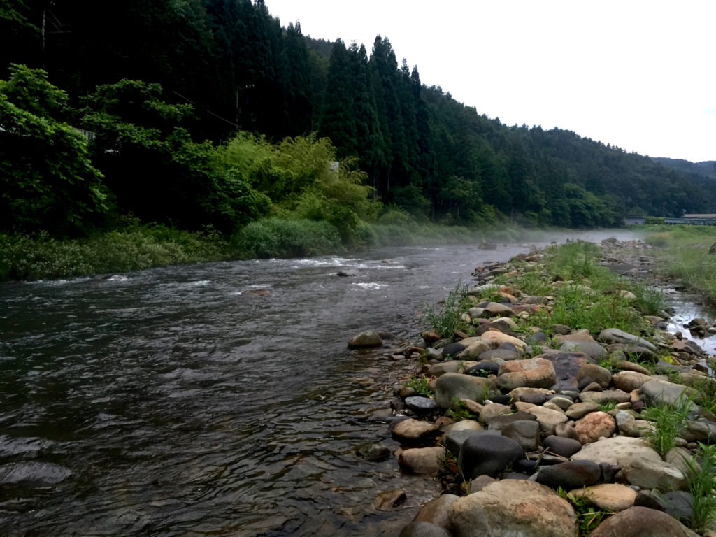 Early morning mist on a branch of the Hida River