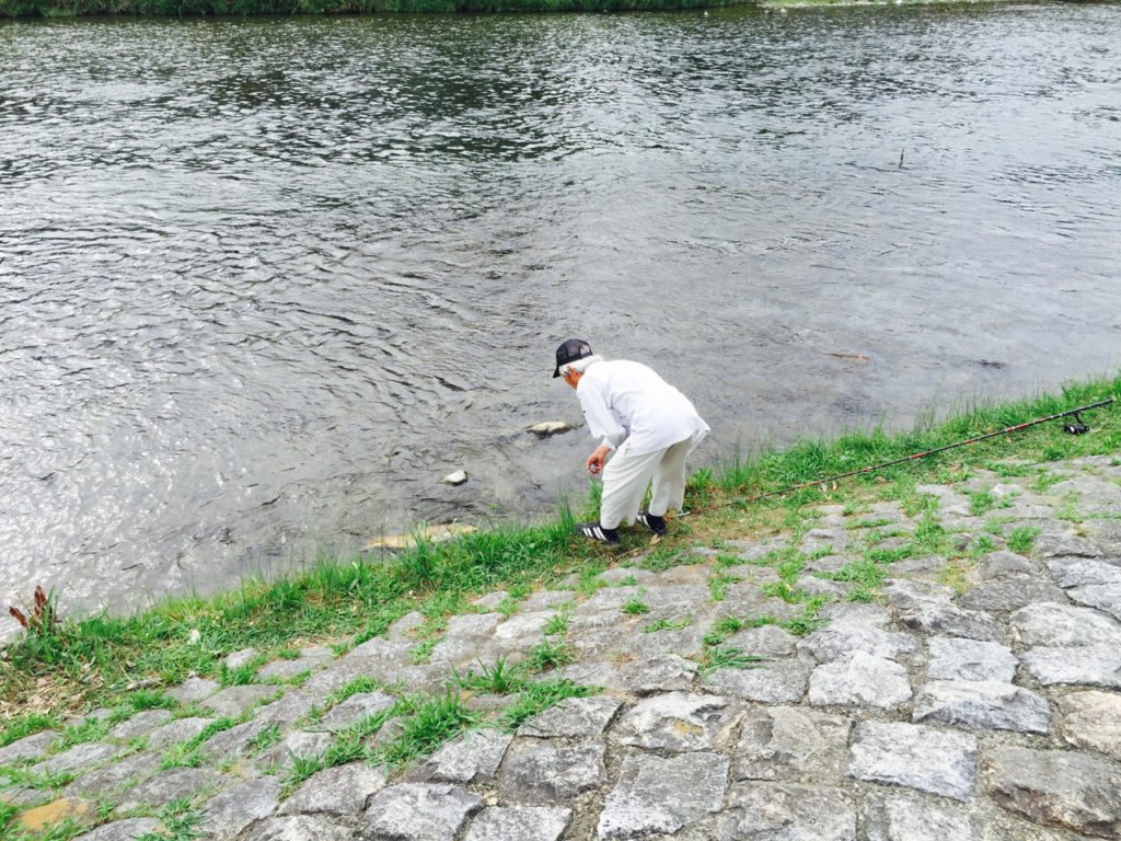 A local fisherman catches and releases a carp from the Kamo River in Kyoto