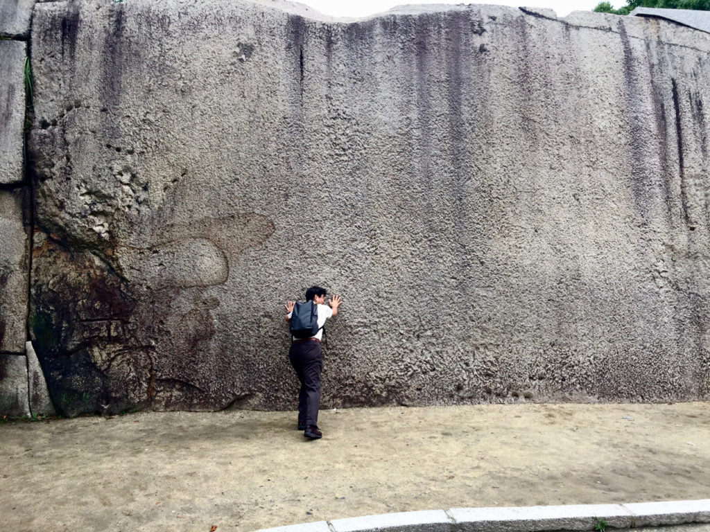 Mickey at Osaka Castle